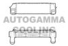 AUTOGAMMA 107306 Intercooler, charger